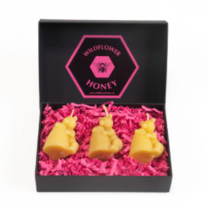 beeswax bears with beehives candle gift set