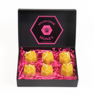 hexagonal natural beeswax bee lights gift set