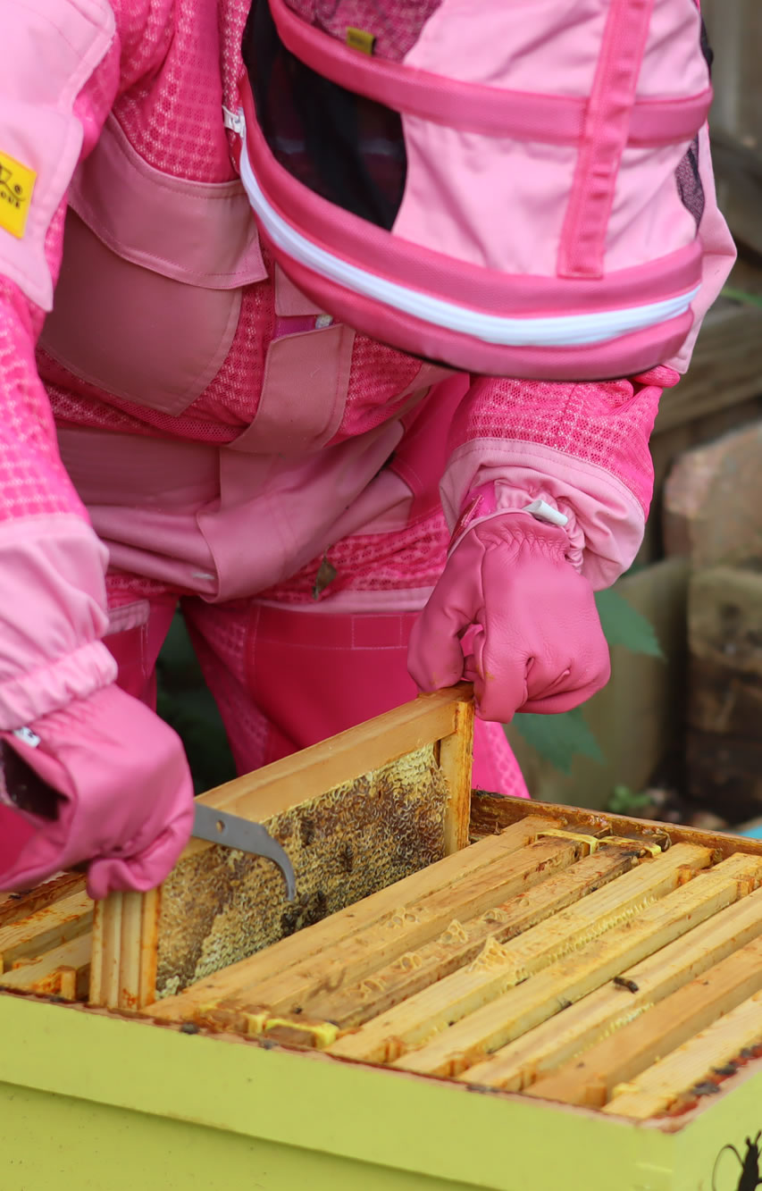 Flow working with Wild Flower Honey beehive